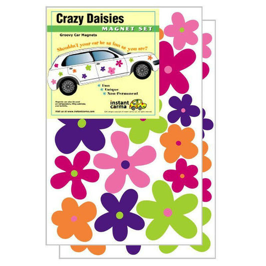 Crazy Daisies Flower Car Magnet Set - Support Store